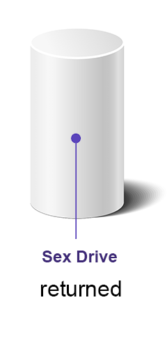 Sex Drive Returned