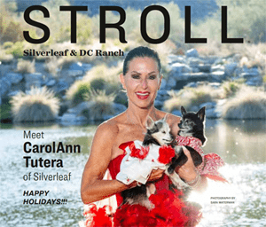 Stroll Magazine