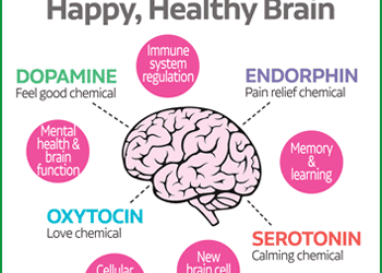 Boost Your Brain with Bioidentical Hormone Pellet Therapy